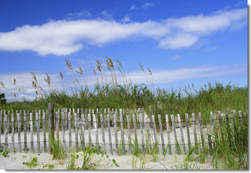 Gentle Breeze