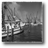 Fishing Boats